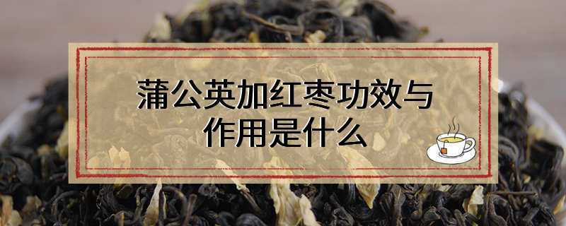 蒲公英加红枣功效与作用是什么