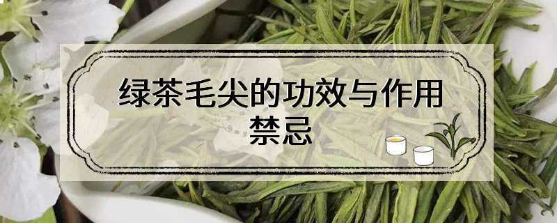 绿茶毛尖的功效与作用禁忌