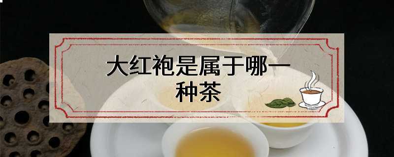 大红袍是属于哪一种茶