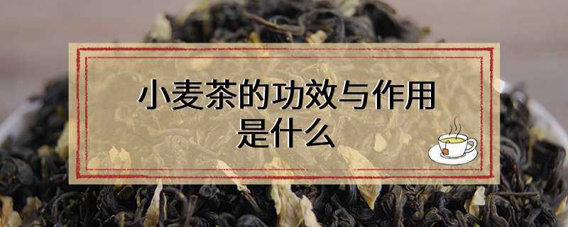 小麦茶的功效与作用是什么