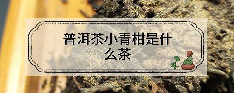 普洱茶小青柑是什么茶