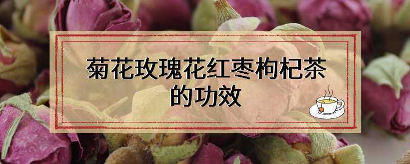 菊花玫瑰花红枣枸杞茶的功效