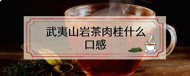 武夷山岩茶肉桂什么口感