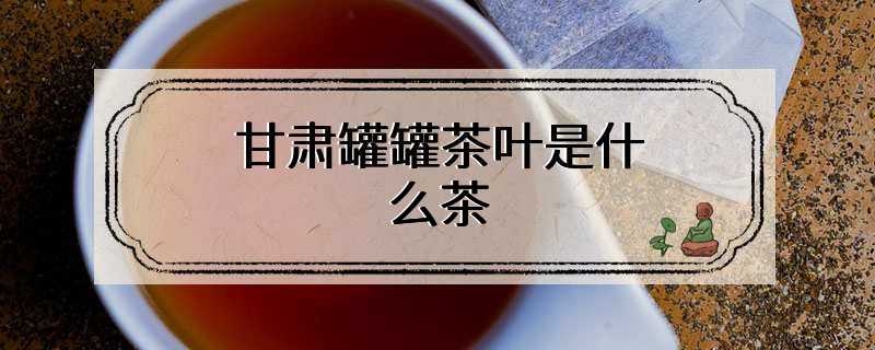 甘肃罐罐茶叶是什么茶