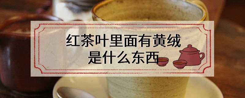 红茶叶里面有黄绒是什么东西