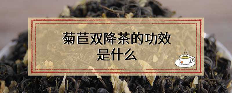 菊苣双降茶的功效是什么