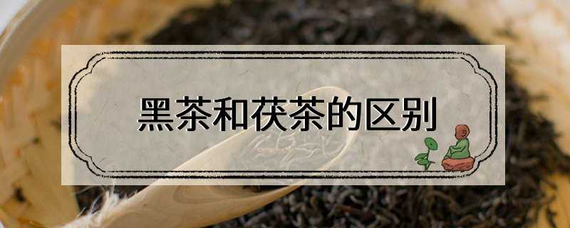 黑茶和茯茶的区别