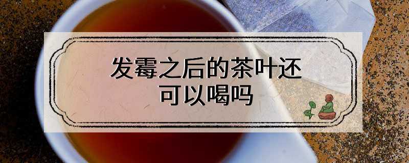 发霉之后的茶叶还可以喝吗