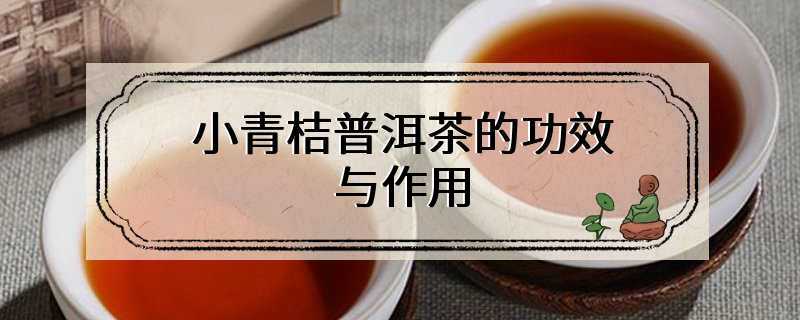 小青桔普洱茶的功效与作用