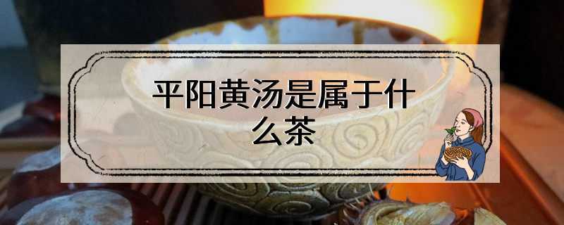 平阳黄汤是属于什么茶