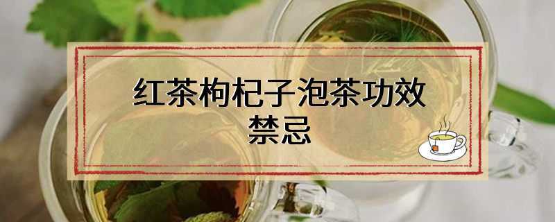 红茶枸杞子泡茶功效禁忌