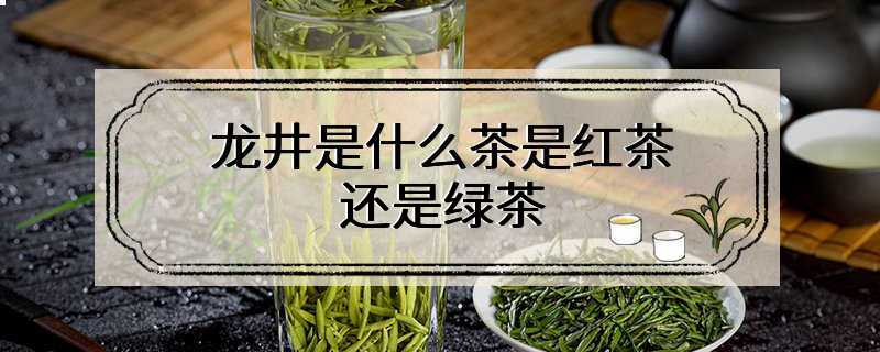 龙井是什么茶是红茶还是绿茶