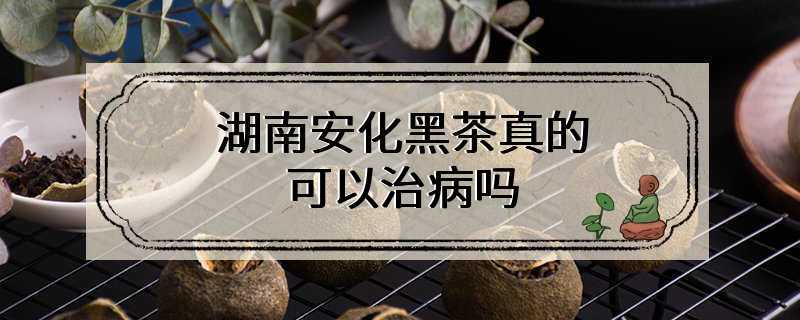 湖南安化黑茶真的可以治病吗