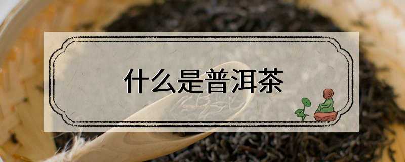 什么是普洱茶