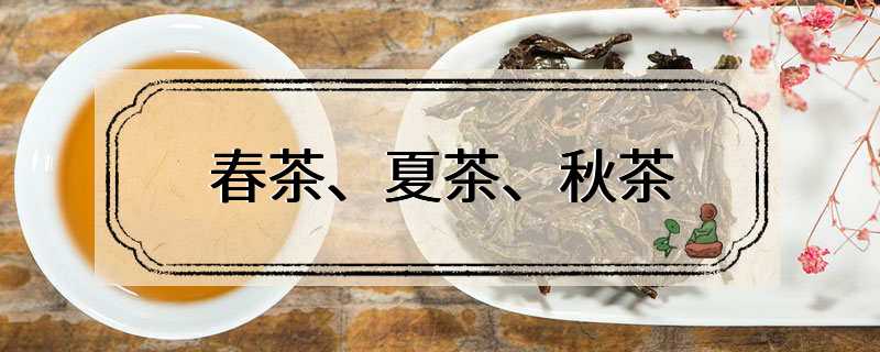 春茶、夏茶、秋茶