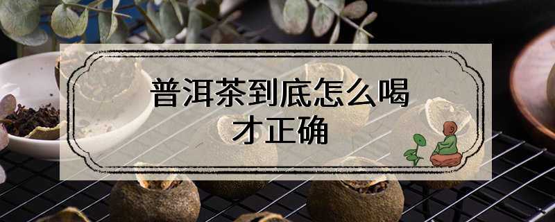 普洱茶到底怎么喝才正确