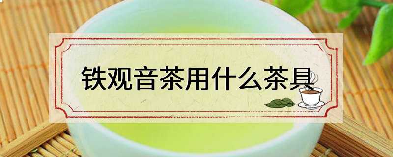 铁观音茶用什么茶具