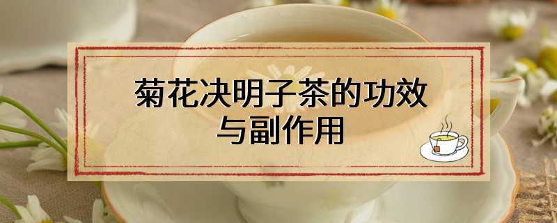 菊花决明子茶的功效与副作用