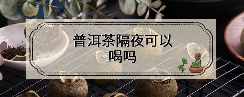 普洱茶隔夜可以喝吗