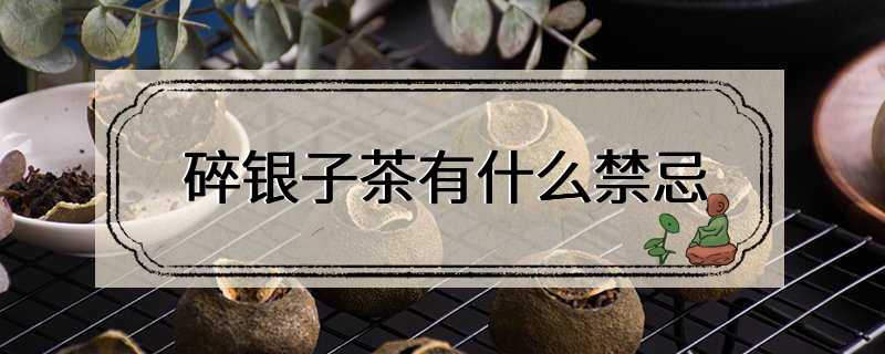 碎银子茶有什么禁忌