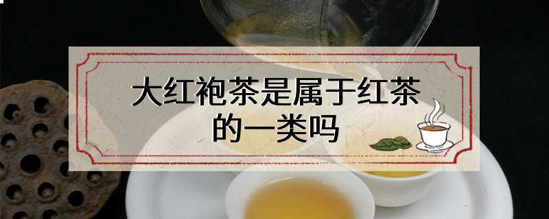 大红袍茶是属于红茶的一类吗