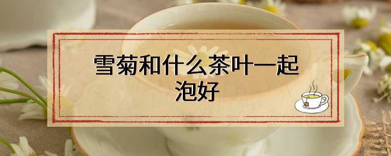 雪菊和什么茶叶一起泡好