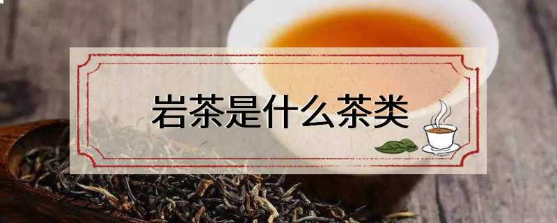 岩茶是什么茶类