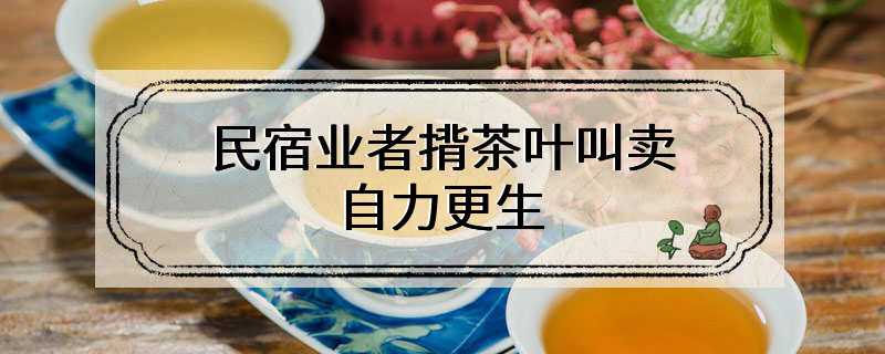 民宿业者揹茶叶叫卖　自力更生