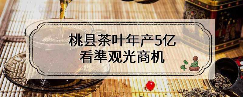 桃县茶叶年产5亿 看準观光商机 