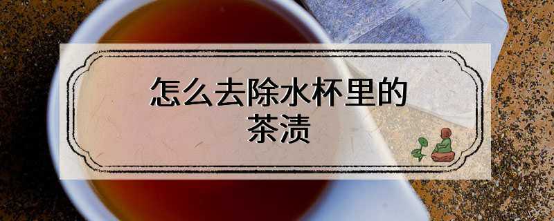 怎么去除水杯里的茶渍