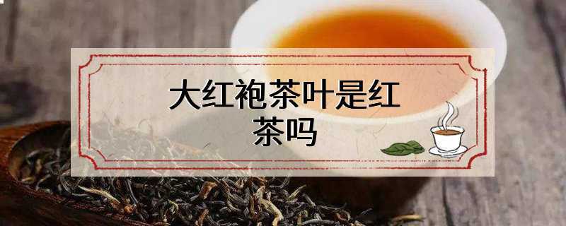 大红袍茶叶是红茶吗