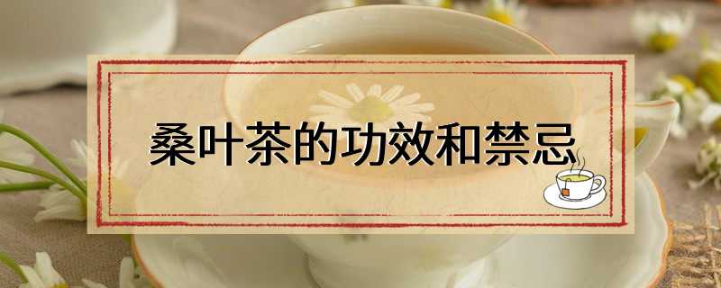 桑叶茶的功效和禁忌