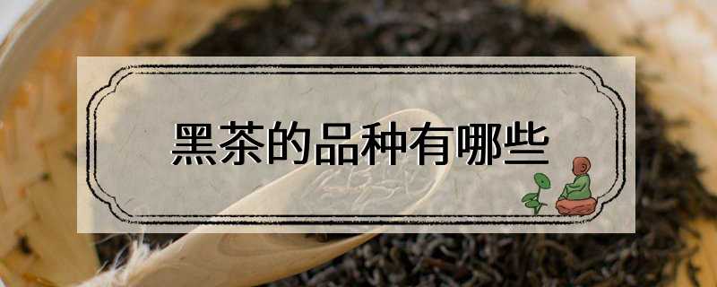 黑茶的品种有哪些