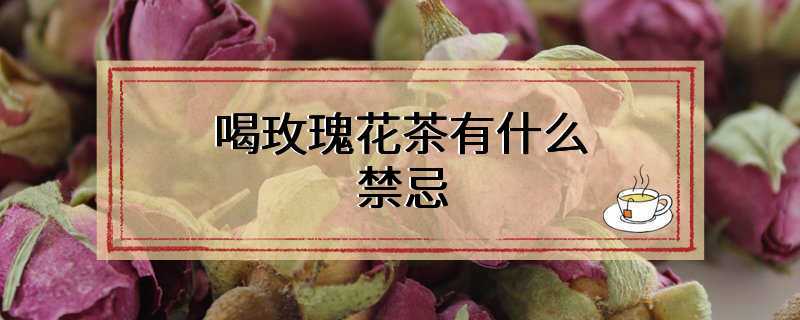 喝玫瑰花茶有什么禁忌