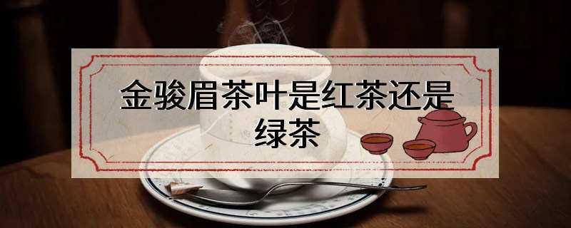 金骏眉茶叶是红茶还是绿茶