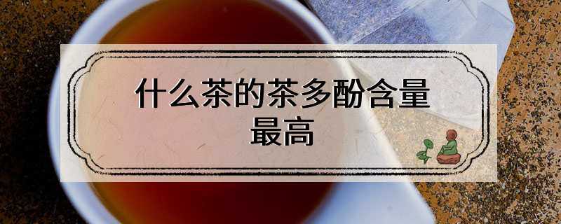 什么茶的茶多酚含量最高