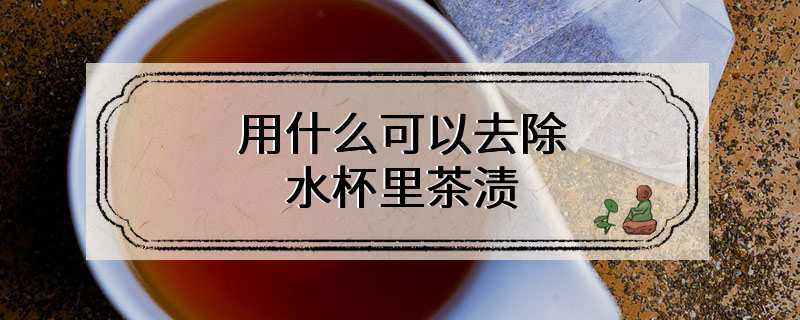 用什么可以去除水杯里茶渍