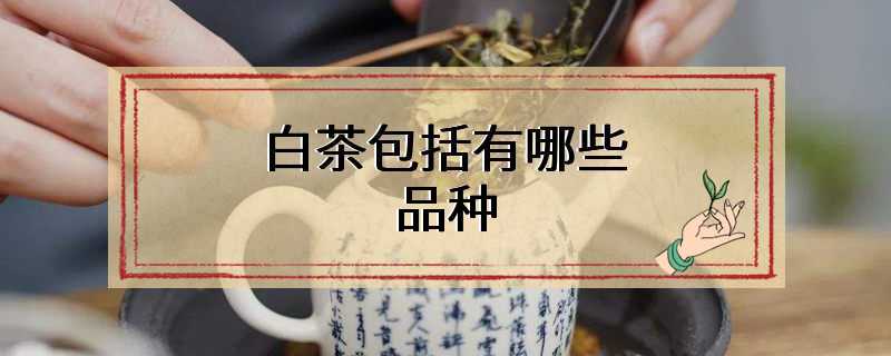 白茶包括有哪些品种