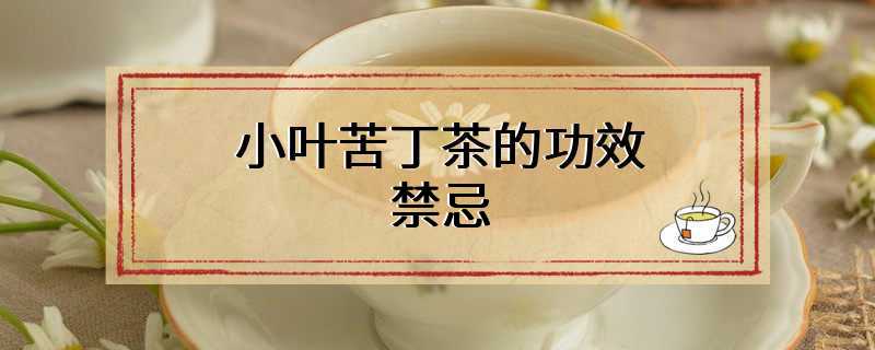 小叶苦丁茶的功效禁忌