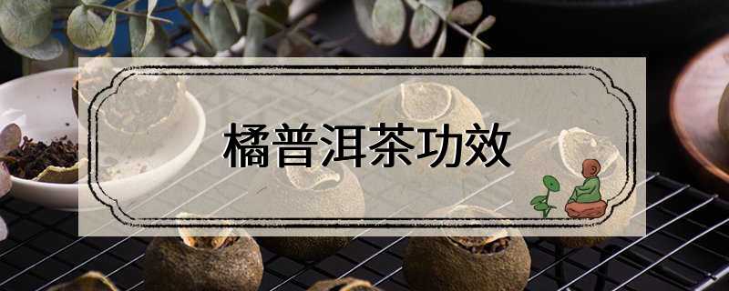 橘普洱茶功效