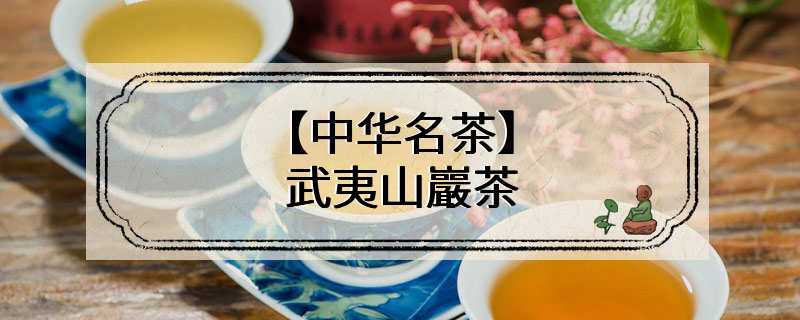 【中华名茶】武夷山巖茶