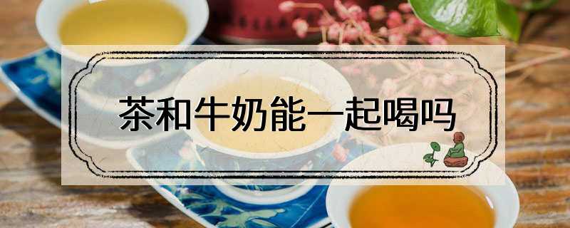 茶和牛奶能一起喝吗