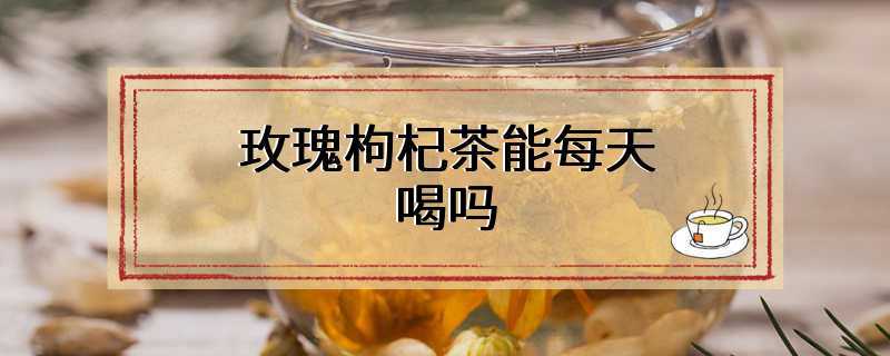 玫瑰枸杞茶能每天喝吗