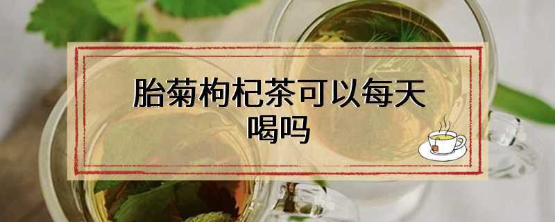 胎菊枸杞茶可以每天喝吗