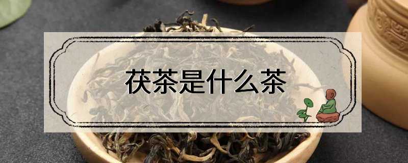 茯茶是什么茶