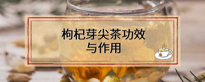 枸杞芽尖茶功效与作用