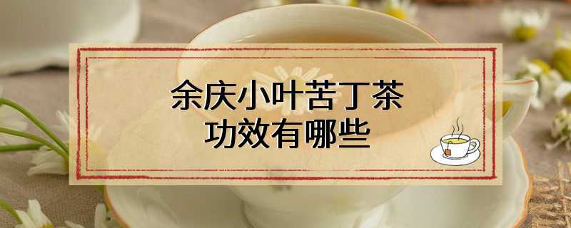 余庆小叶苦丁茶功效有哪些