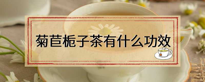 菊苣栀子茶有什么功效