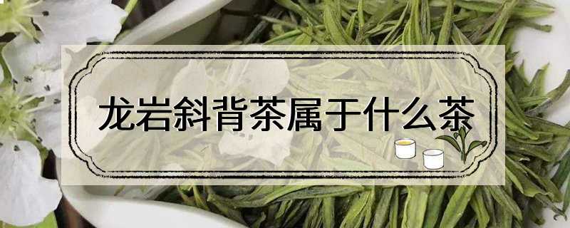 龙岩斜背茶属于什么茶