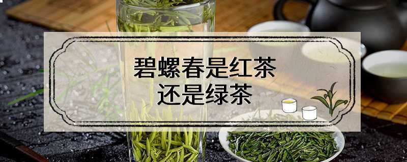 碧螺春是红茶还是绿茶